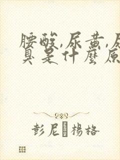 腰酸,尿黄,尿臭是什么原因