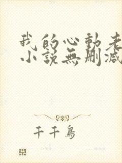 我的心动老板娘小说无删减版