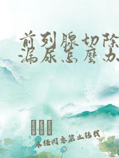 前列腺切除术后漏尿怎么办