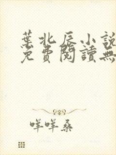 叶北辰小说全文免费阅读无弹窗最新章节