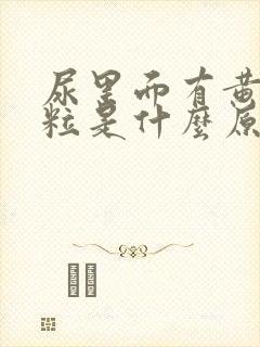 尿里面有黄色颗粒是什么原因