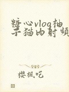 糖心vlog柚子猫内射频