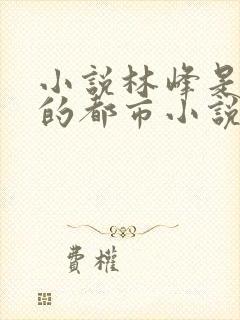 小说林峰是主角的都市小说
