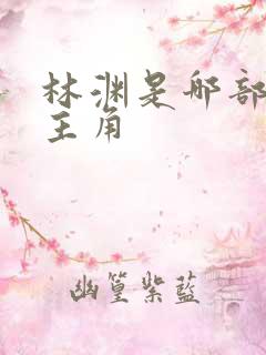 林渊是哪部小说主角