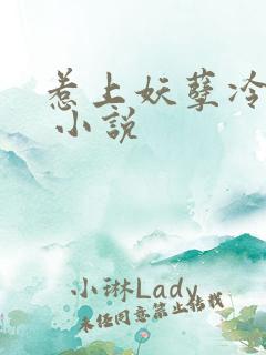 惹上妖孽冷殿下 小说