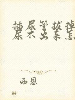 插尿管拔掉之后尿不出来怎么办