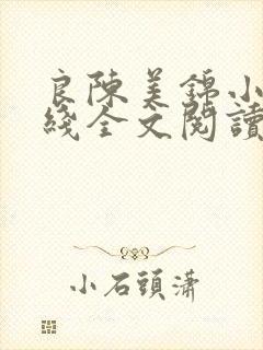 良陈美锦小说在线全文阅读