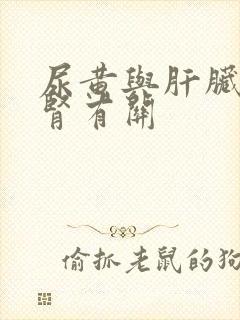 尿黄与肝脏还是肾有关