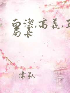 白洁,高义,王局长