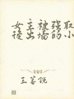 女主被强取豪夺后出墙的小说