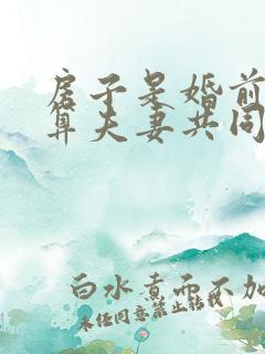 房子是婚前买的算夫妻共同财产吗