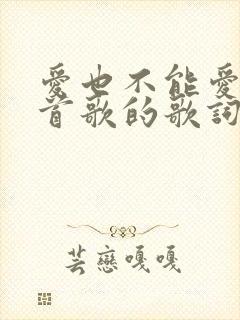 爱也不能爱是哪首歌的歌词