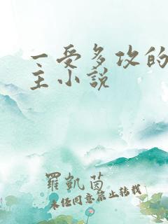 一受多攻的双男主小说