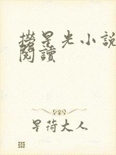 捞星光小说免费阅读