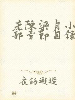 老陈梁月小说全部章节目录