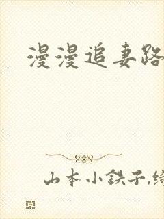 漫漫追妻路阅读