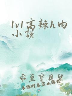 1v1高辣h肉小说