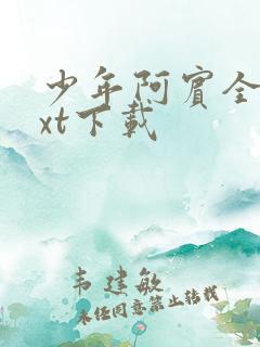 少年阿宾全文txt下载