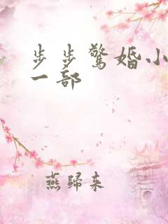 步步惊婚小说第一部