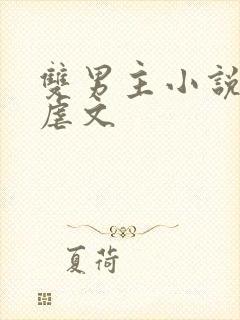 双男主小说推荐虐文