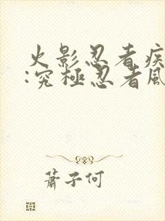 火影忍者疾风传:究极忍者风暴4