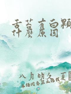 舌苔有白颗粒是什么原因