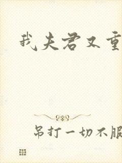 我夫君又重生了