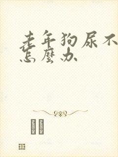 老年狗尿不出尿怎么办