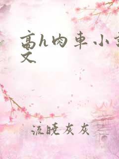 高h肉车小说车文