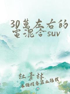 30万左右的油电混合suv