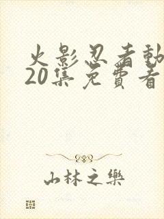 火影忍者动漫720集免费看