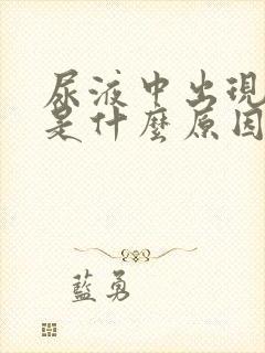 尿液中出现泡沫是什么原因