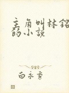 主角叫林铭陈佳的小说