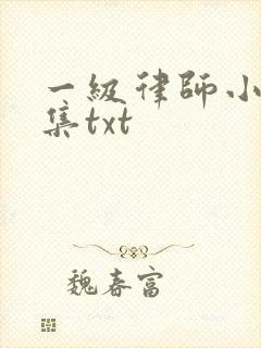 一级律师小说全集txt