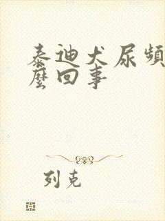 泰迪犬尿频是怎么回事