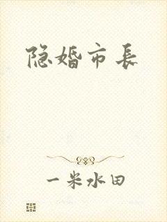 隐婚市长