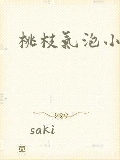 桃枝气泡小说