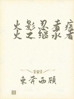 火影忍者疾风传火之继承者