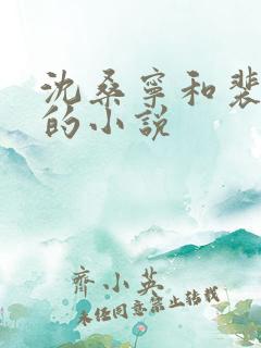 沈桑宁和裴如衍的小说