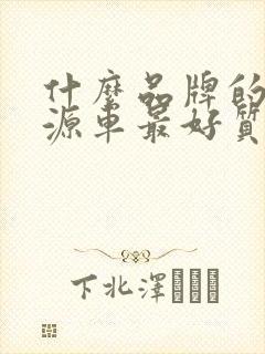 什么品牌的新能源车最好质量最好