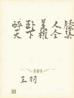 醉卧美人膝醒掌天下权全集