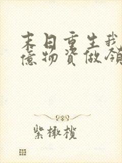 末日重生我囤百亿物资做领主