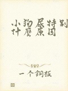 小狗尿特别黄是什么原因