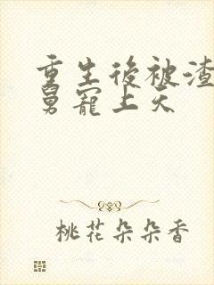 重生后被渣男舅舅宠上天