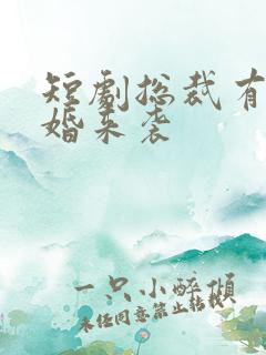 短剧总裁有疾闪婚来袭