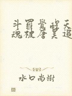 斗罗觉醒天使武魂被唐昊追杀