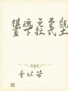 棋魂免费观看漫画下拉式土豪漫画