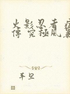 火影忍者 疾风传 究极风暴2下载