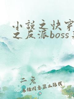 小说之快穿系统之反派boss来袭