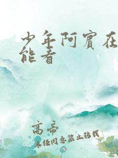 少年阿宾在哪里能看